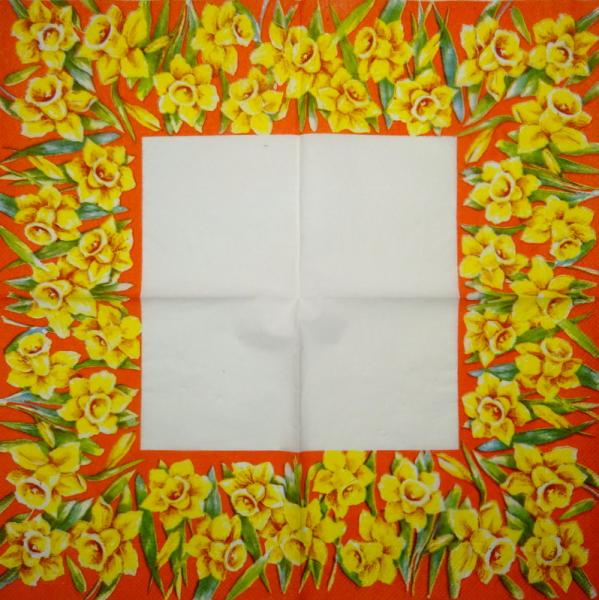 184 Daffodils - 3 ply -